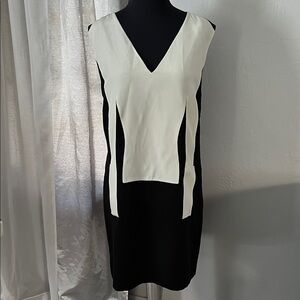 Stylish Black and White V-Neck Mini Dress